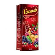 Морс "Сочный", 0,2 л
