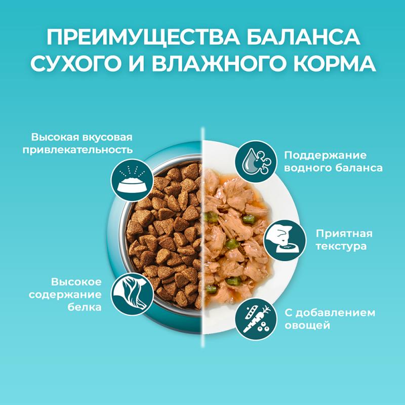 Влажный корм для стерилизованных кошек и кастрированных котов, PURINA ONE, с курицей и зелёной фасол
