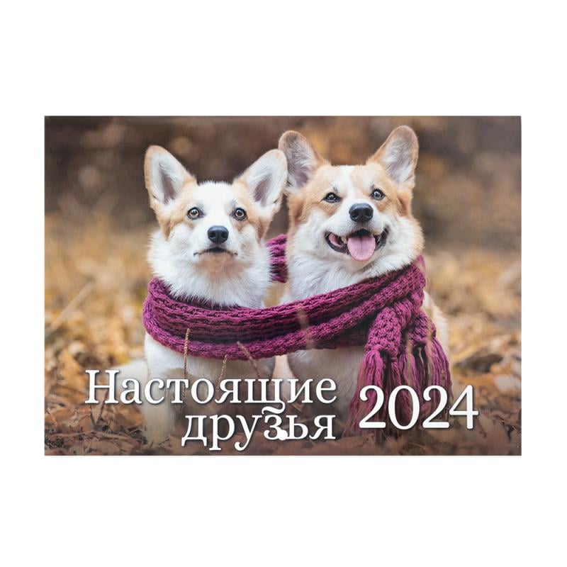 Руторг 2024 настоящий сегодня