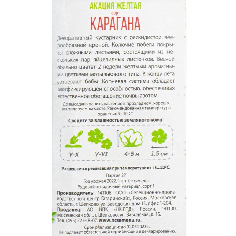 Садовое растение, Русский огород, в ассортименте