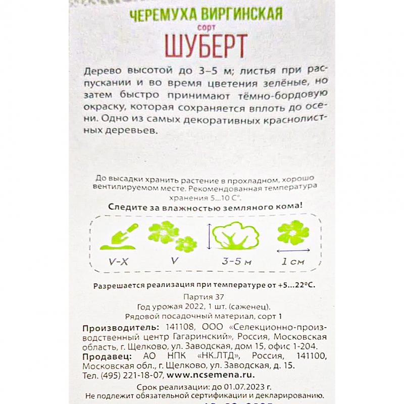 Садовое растение, Русский огород, в ассортименте