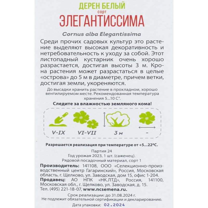 Растение садовое, в ассортименте