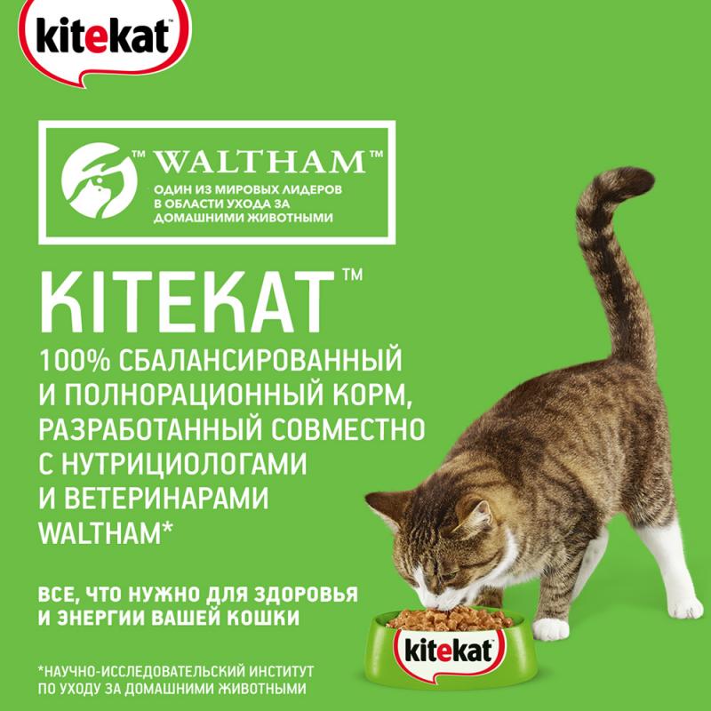 Влажный корм для кошек, Kitekat, говядина в желе, 85 г