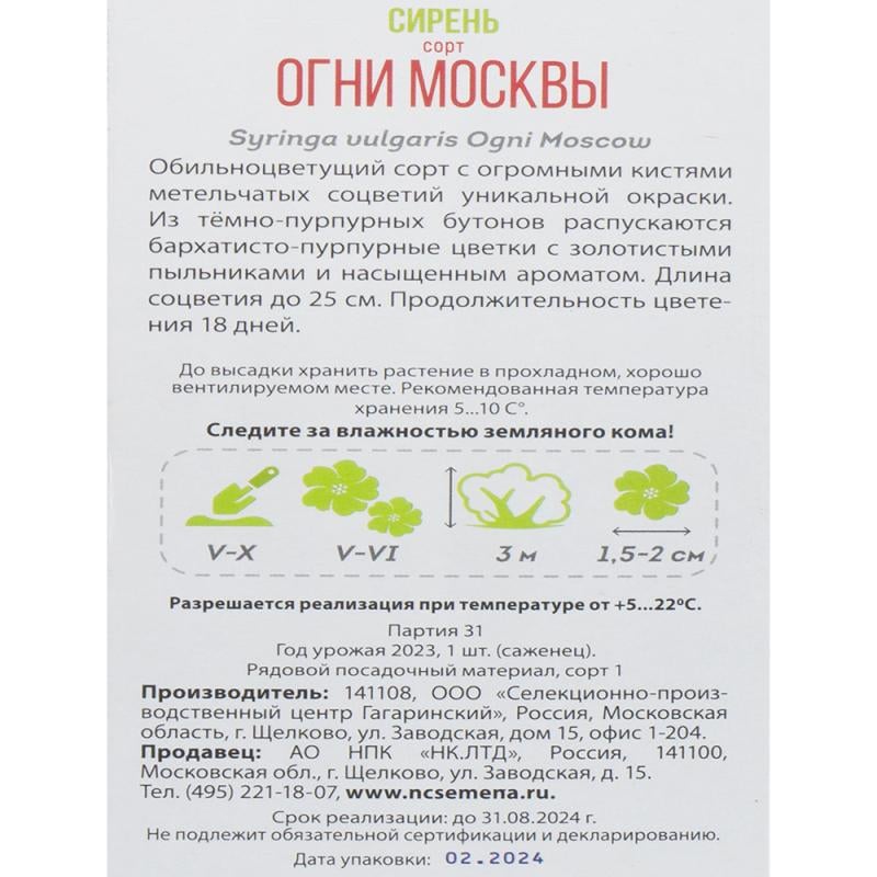 Растение садовое, в ассортименте