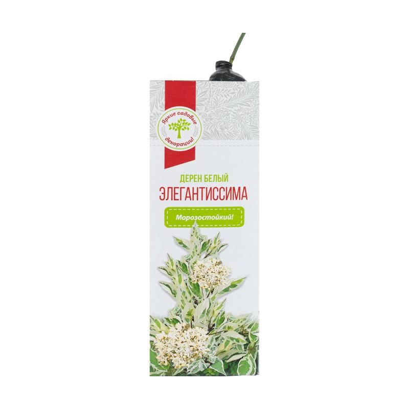 Растение садовое, в ассортименте