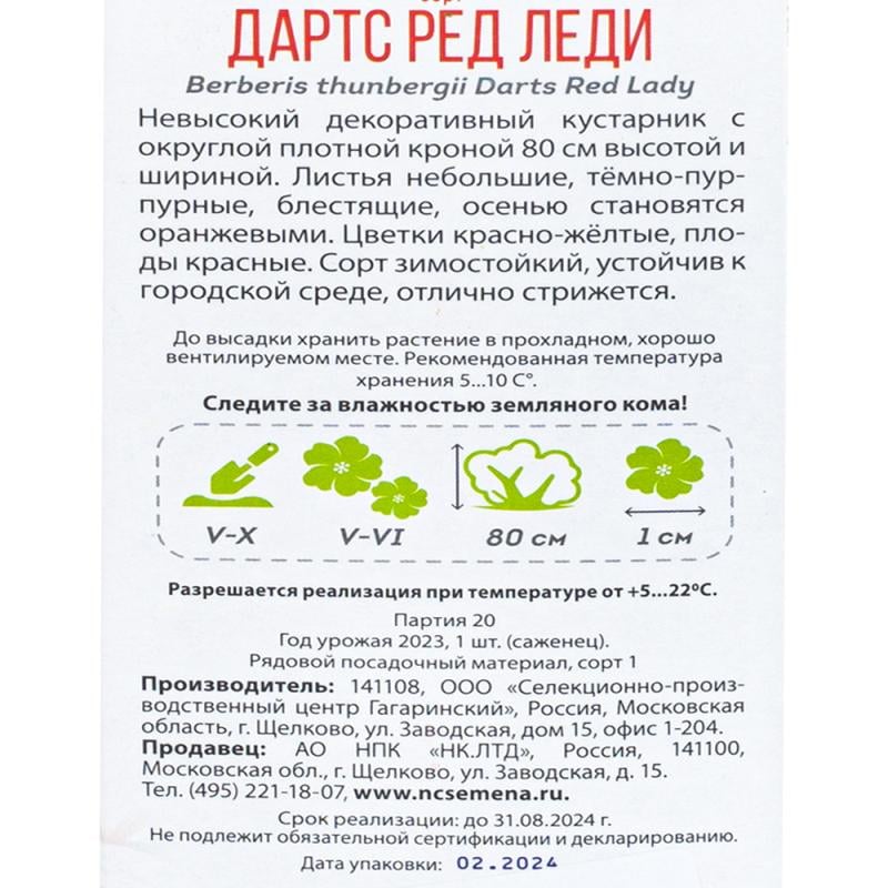 Растение садовое, в ассортименте