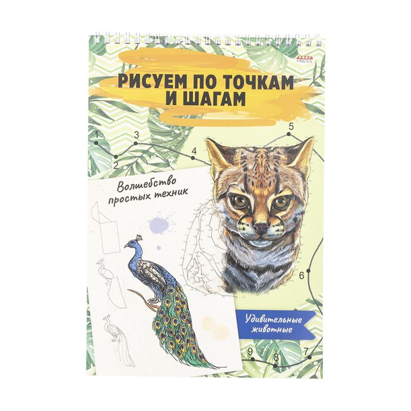 Альбом для рисования: рисуй по точкам и шагам, в ассортименте