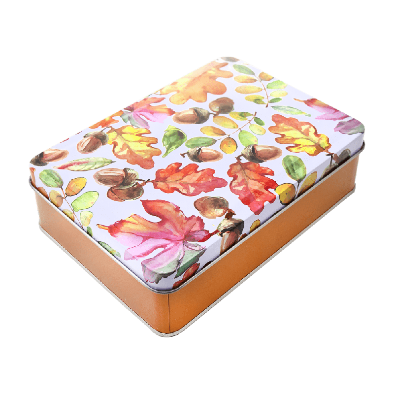 Коробка металлическая, 16х11х4 см