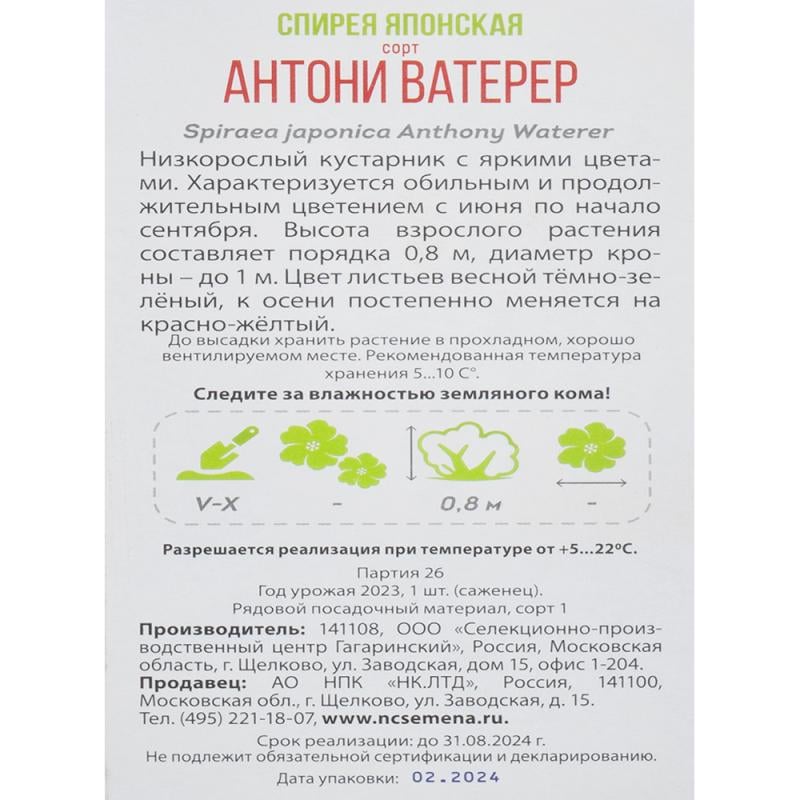 Растение садовое, в ассортименте