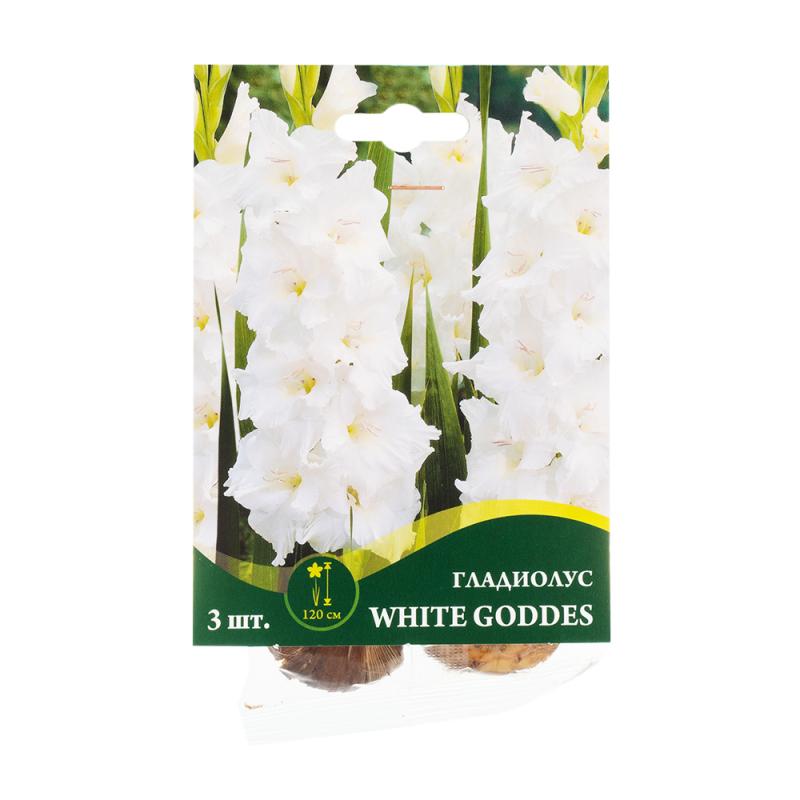 Луковицы гладиолуса, Петрофлора, 3 шт., в ассортименте - купить в ...