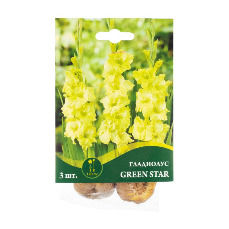 Луковицы гладиолуса, Петрофлора, 3 шт., в ассортименте - купить в ...