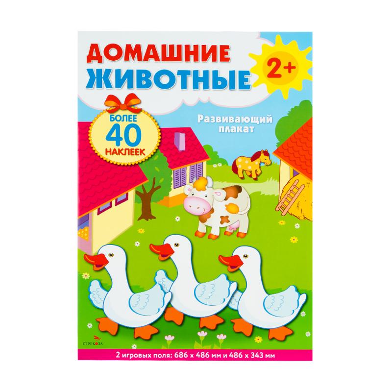 Развивающий плакат-игра, в ассортименте
