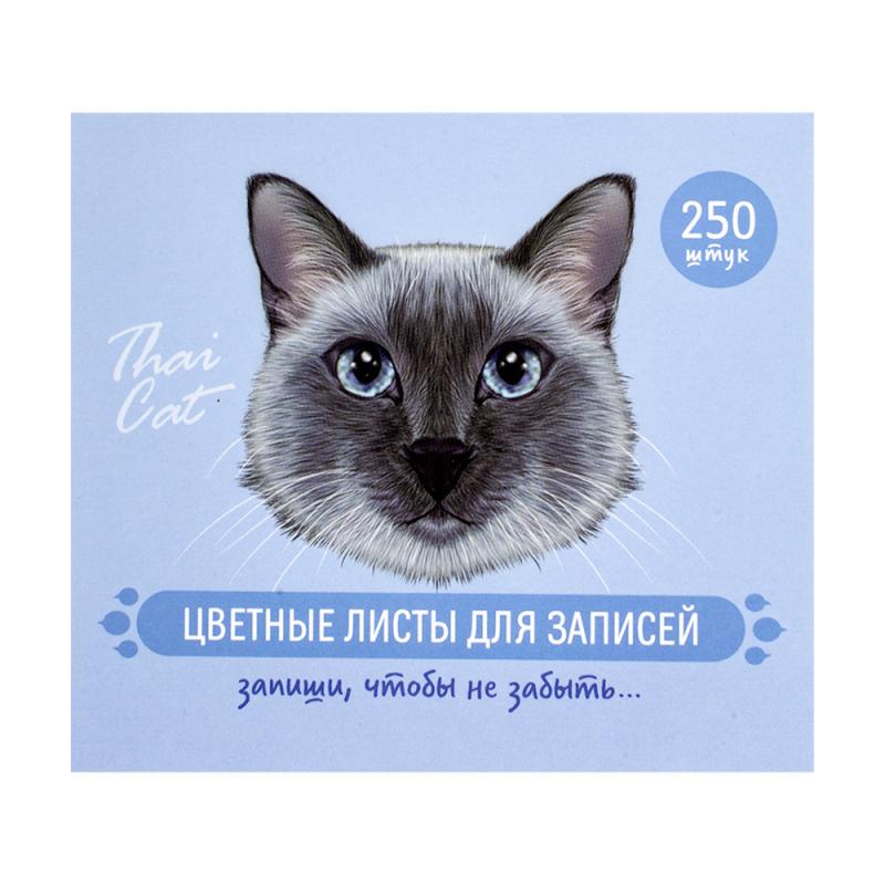 Цветные листы для записей, 250 шт., в ассортименте