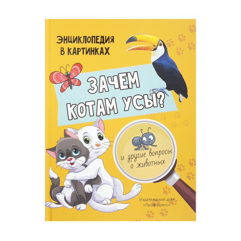 Серия книг "Энциклопедия в картинках", Проф-Пресс, в ассортименте