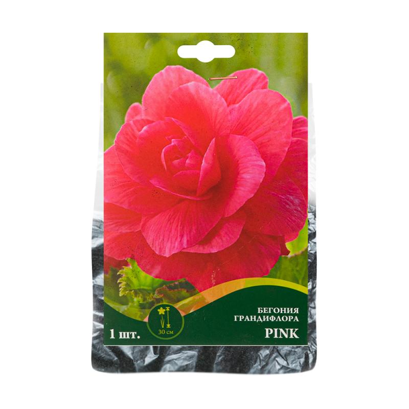 Луковица бегонии, Петрофлора, 1 шт., в ассортименте - купить в интернет ...