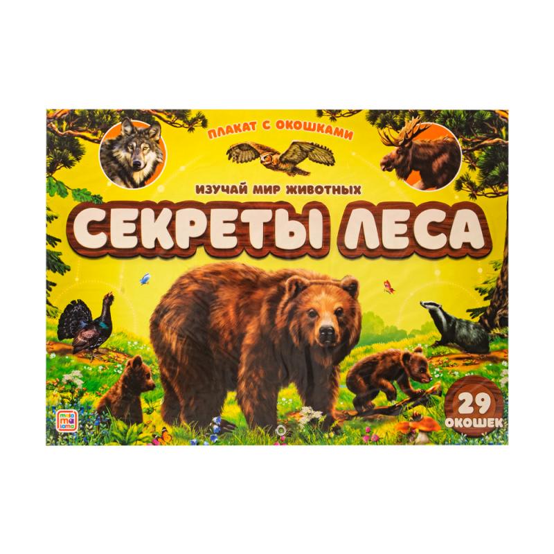 Серия "Плакат с окошками"
