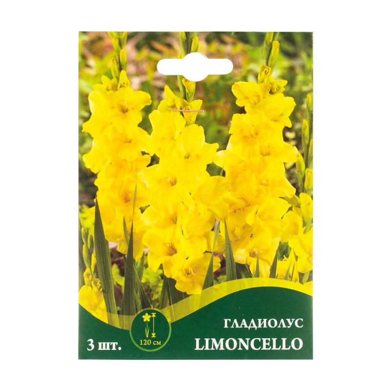 Луковицы гладиолуса, Петрофлора, 3 шт., в ассортименте - купить в ...