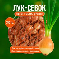 Лук-севок озимый "Штуттгартер ризен", 250 г