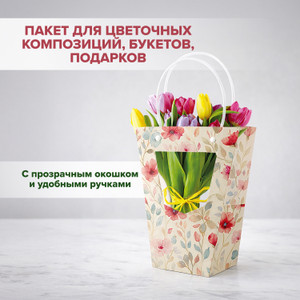 Пакет д/цвет комп, букетов, подарков ИМП