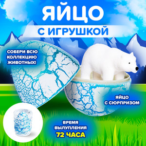 Яйцо с игрушкой (большое) ИМП