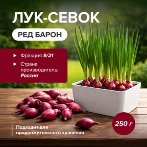 Лук-севок Ред Барон, 250гр (9/21)