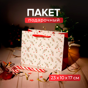 Пакет подарочный, 23*10*17см ИМП