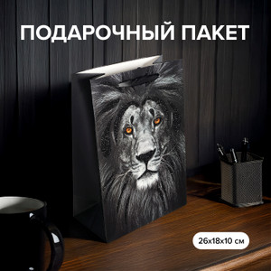 Пакет подарочный, 26*18*10 см ИМП
