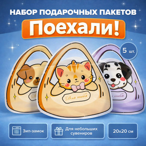 Наб/пакет/с зип-замком"Поехали!"5штИМП