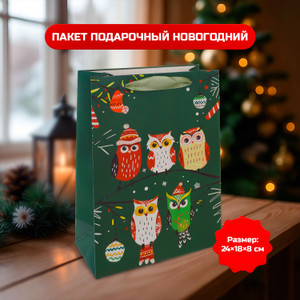 Пакет подар. новогодний, 24*18*8 см ИМП