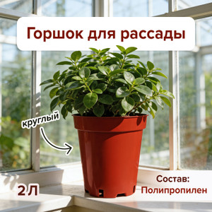 Горшок круглый для рассады, 2 л ПТК