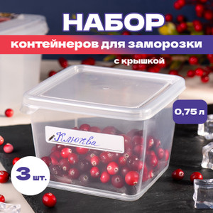 Набор контейнеров для заморозки, 3 шт.