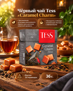 Чай чёрный "Caramel Charm", TESS, карамель, 20 пирамидок, 36 г