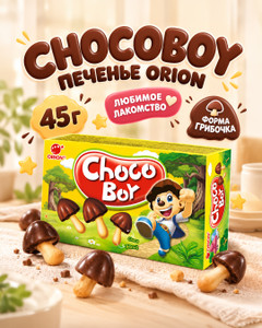 Печенье "CHOCOBOY", Orion, 45 г