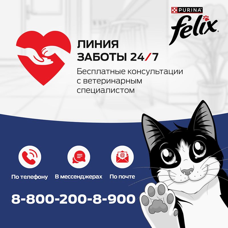 Влажный корм для взрослых кошек "Домашняя вкуснятина", FELIX, с рыбой 75 г