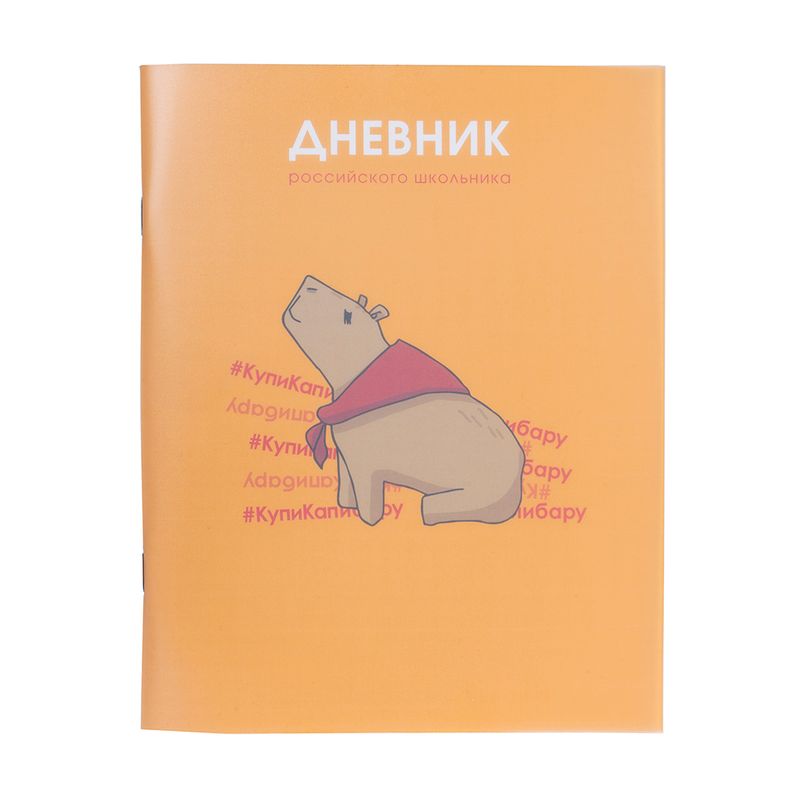 Дневник школьный, в ассортименте
