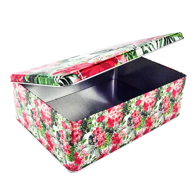 Коробка металлическая, 22х16х7 см