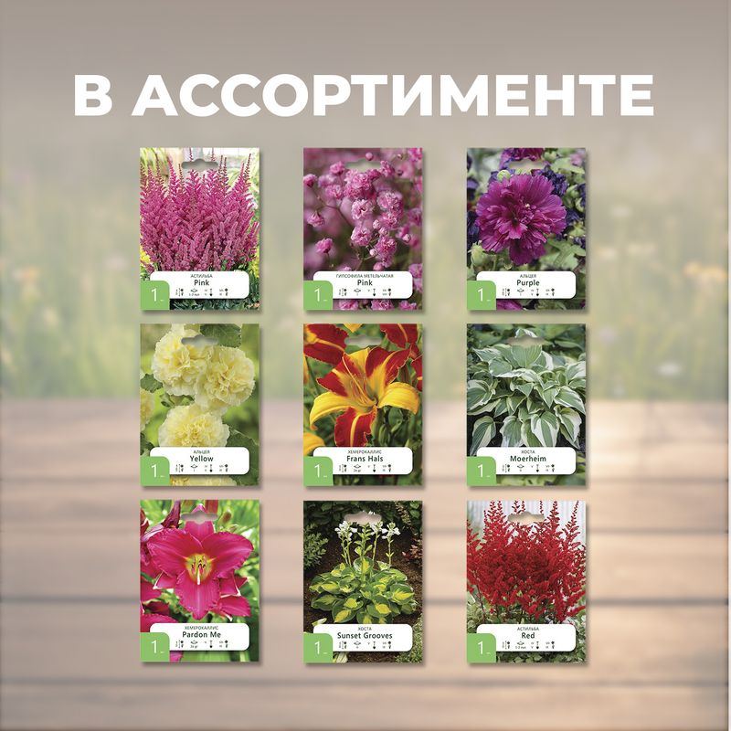 Корни многолетних культур "Петрофлора", 1 шт., в ассортименте