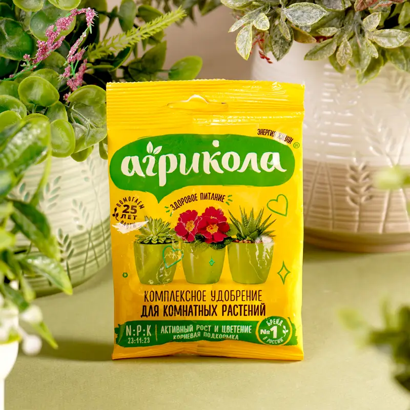 Удобрение для комнатных растений, АГРИКОЛА, 25 г