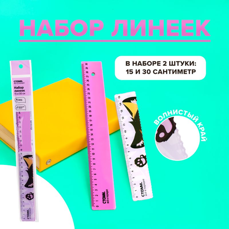Набор линеек, СТАММ, 2 шт., в ассортименте