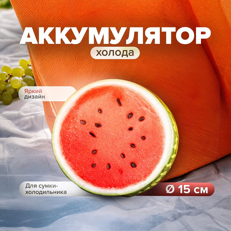 Аккумулятор холода, BBQ, 15 см, в ассортименте