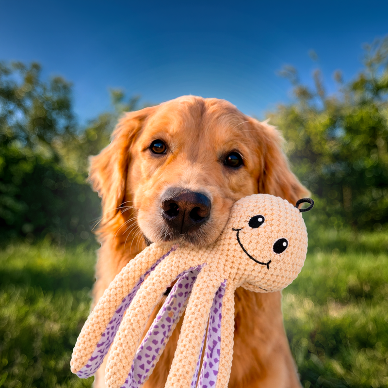 Игрушка для животных "Шуршалка", Pet Club, 40 см, в ассортименте