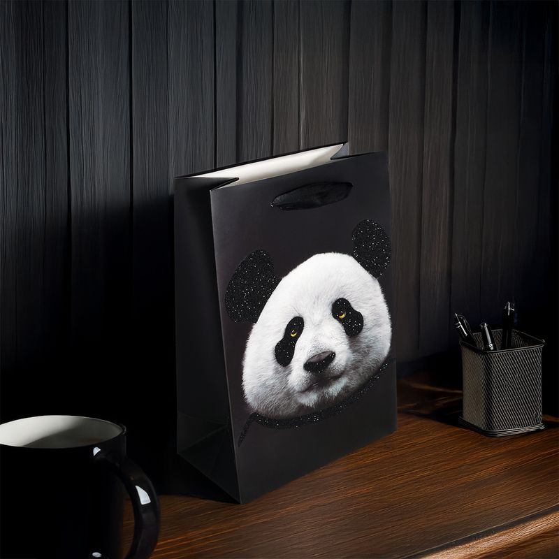 Пакет подарочный, Men’s Direction, 26х18х10 см, в ассортименте