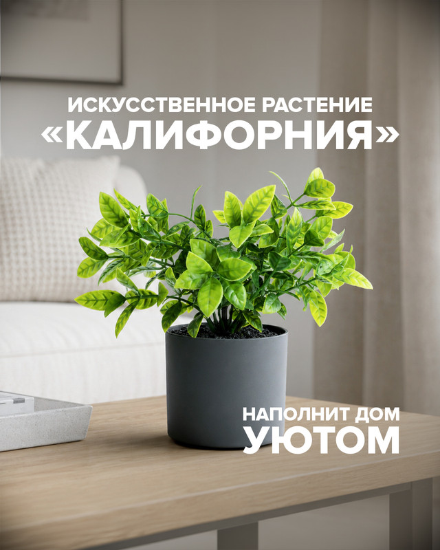 26fef5c29d55b4f10fde606cd44cf52e.jpg