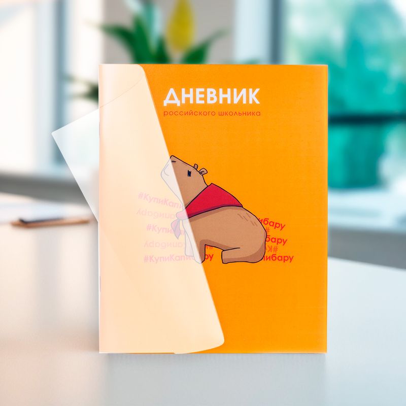 Дневник школьный, в ассортименте