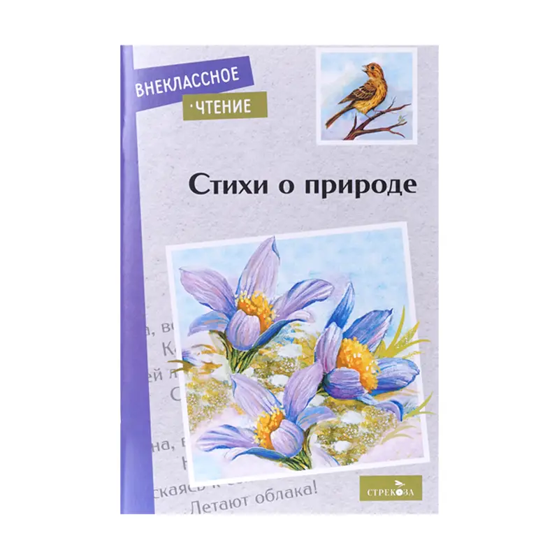 Серия книг "Внеклассное чтение"