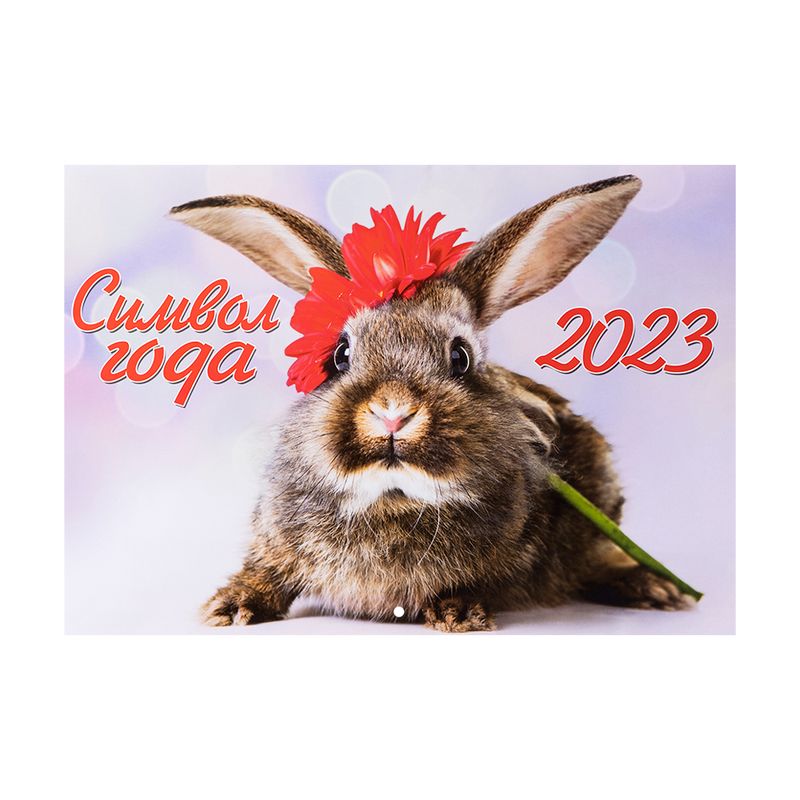 Настенный перекидной календарь на 2023 год, ND PLAY, в ассортименте