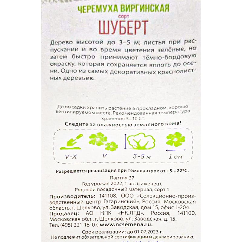 Садовое растение, Русский огород, в ассортименте