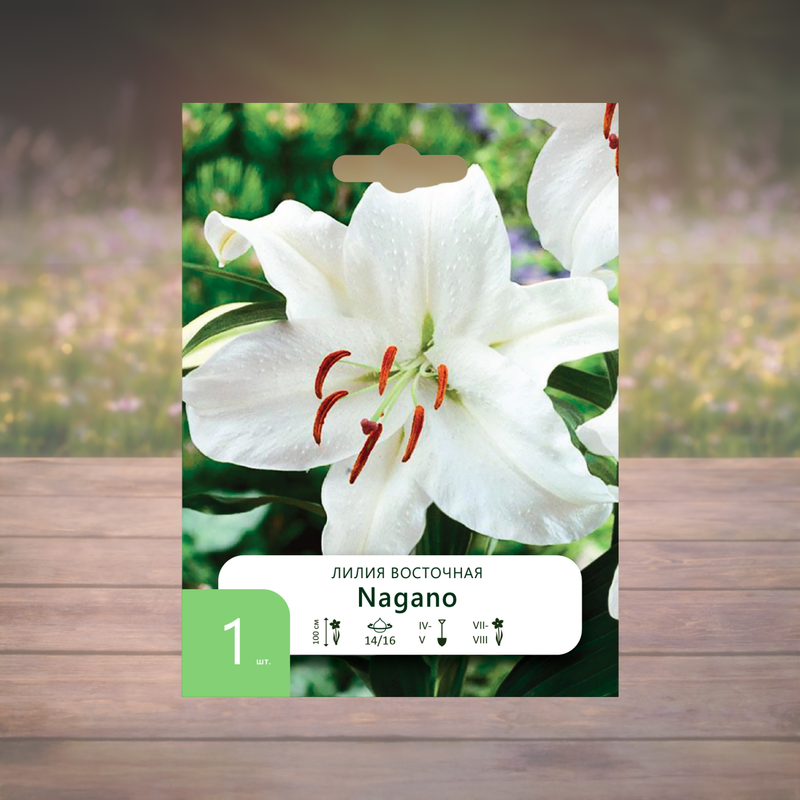 Луковица "Лилия", Петрофлора, 1 шт., в ассортименте