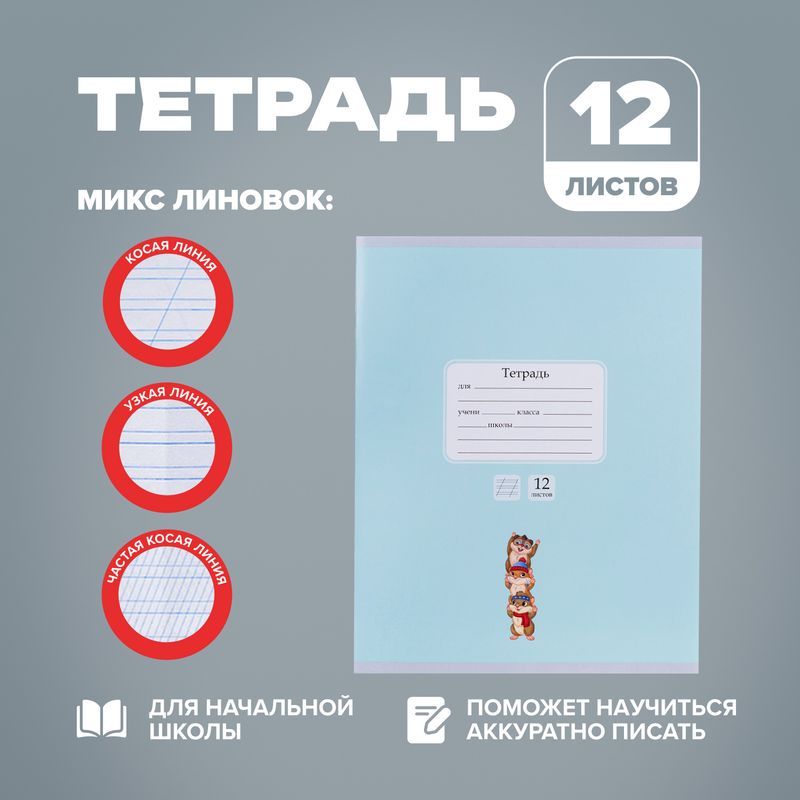 Тетрадь, 12 листов, в ассортименте