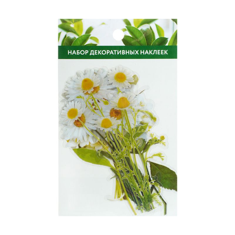Набор декоративных наклеек, Tropical Dream, в ассортименте